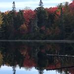 Moose River Plains visitor sign in.