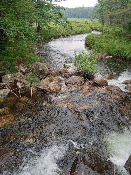 Limekiln State Campground 6