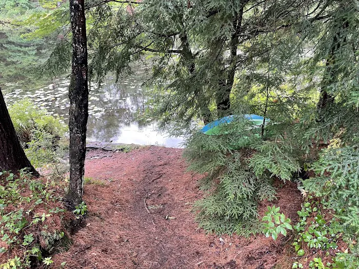 Limekiln State Campground 9