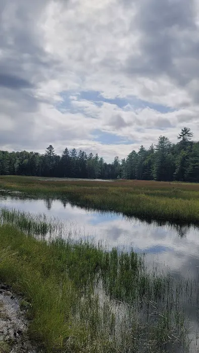 Limkilm campground nature trial 5