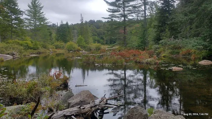 Limkilm campground nature trial 6