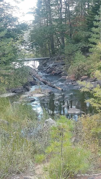 Limkilm campground nature trial 7