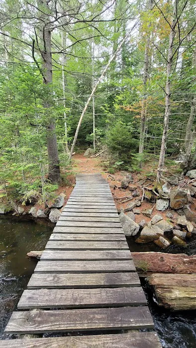 Limkilm campground nature trial 1