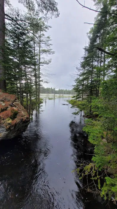 Limkilm campground nature trial 3