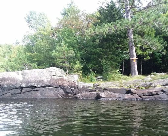 Indian Lake Islands Campground - Campsite #6