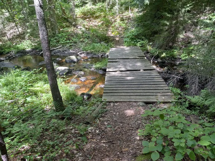 Nicks Lake Campground 2