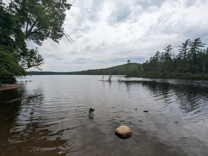 Nicks Lake Campground 8