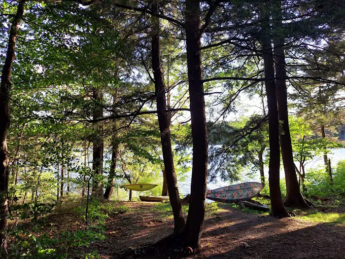 Nicks Lake Campground 5