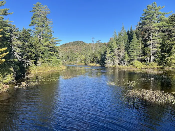 Nicks Lake Campground 3