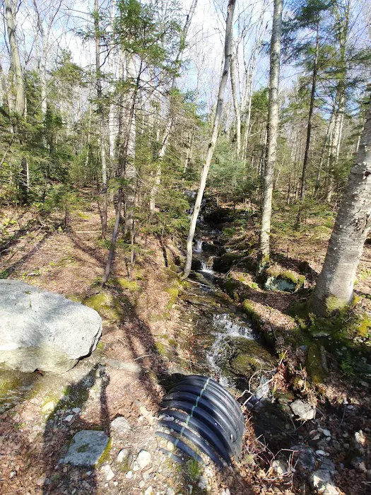 Sperry Road Campground 2