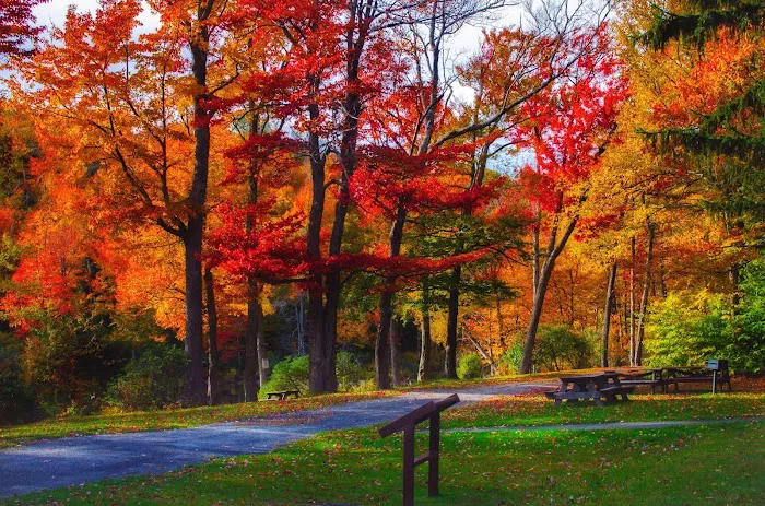Sperry Road Campground 3