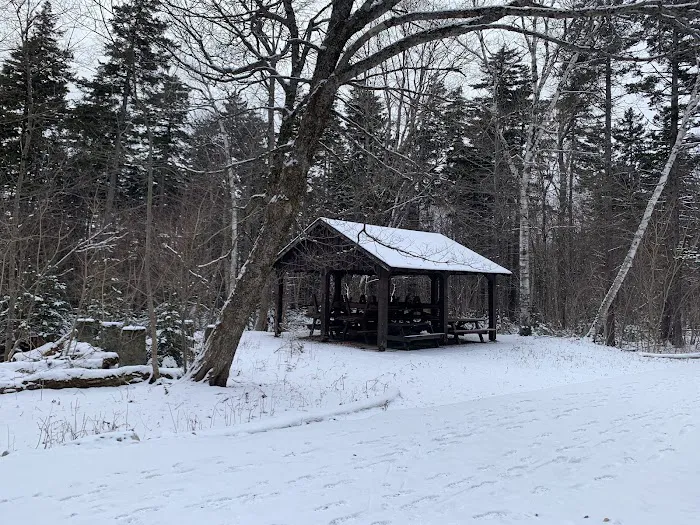 Sperry Road Campground 5