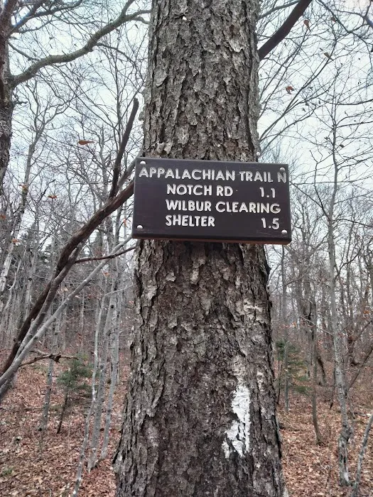 Mt. Greylock Campground Parking Lot 7