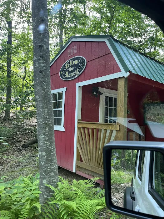 Salamander Hollow Healing Habitat 1