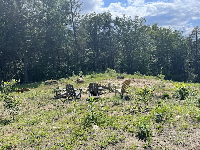 Salamander Hollow Healing Habitat 2
