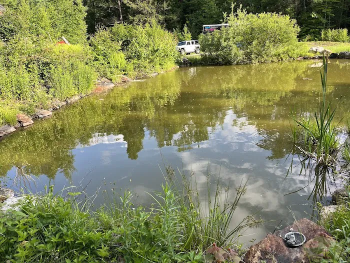 Salamander Hollow Healing Habitat 6
