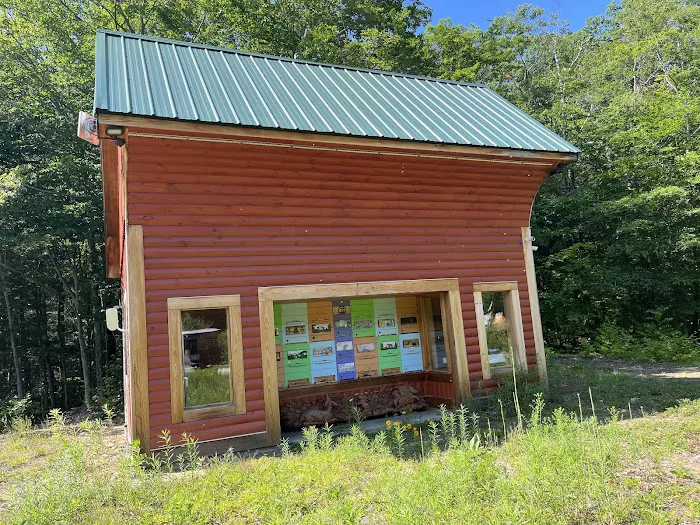 Salamander Hollow Healing Habitat 8
