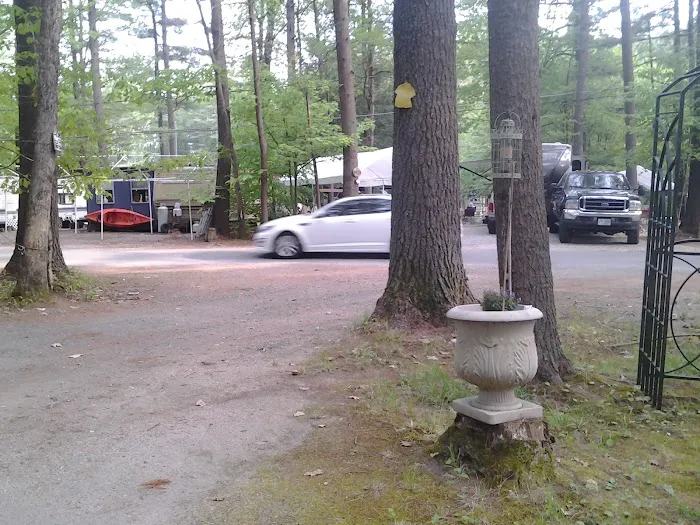 Forest Lake Campground 3
