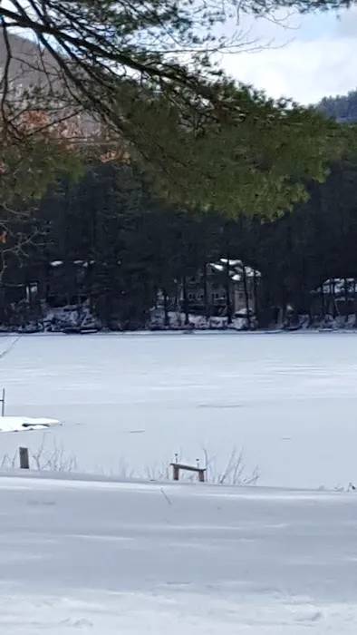 Forest Lake Campground 1
