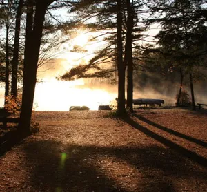 Shir-Roy Camping Area 4