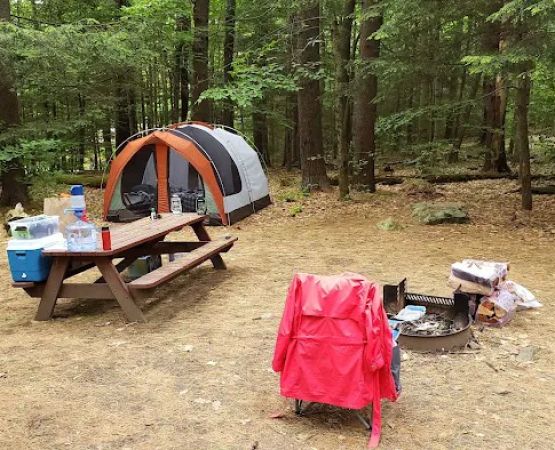 Tolland Campsite #79