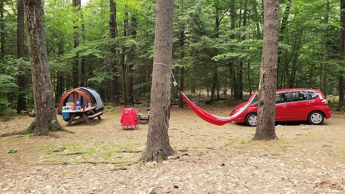 Tolland Campsite #79 1