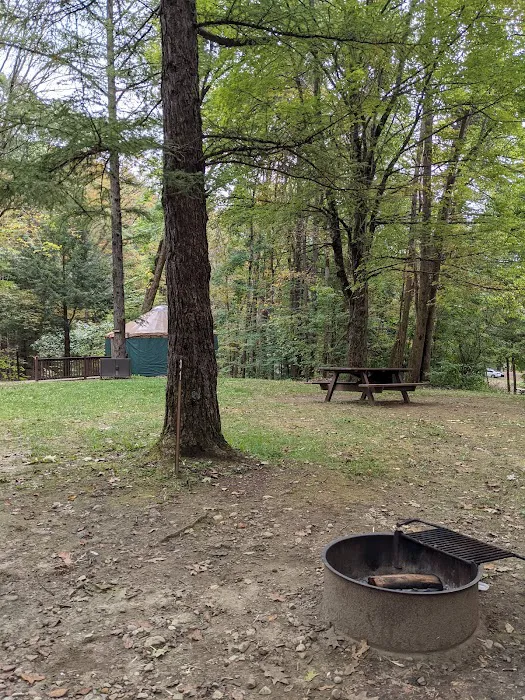 October Mountain State Forest Campground 3