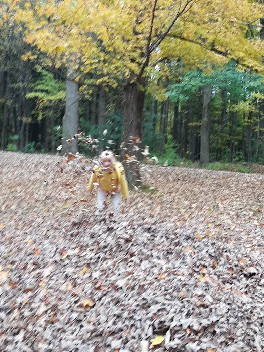 October Mountain State Forest Campground 9