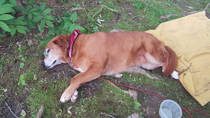Bonnie Brae Campground 4