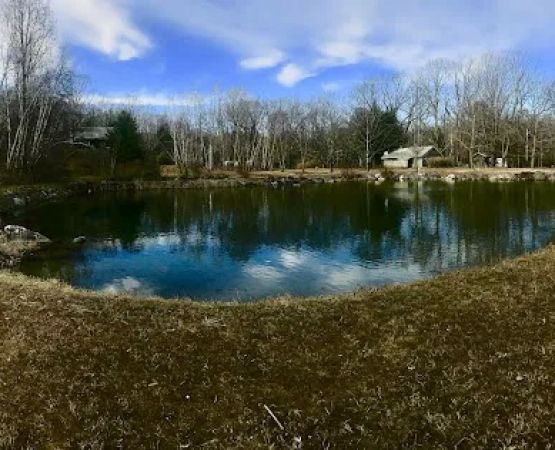 Ponderosa Pine Campground