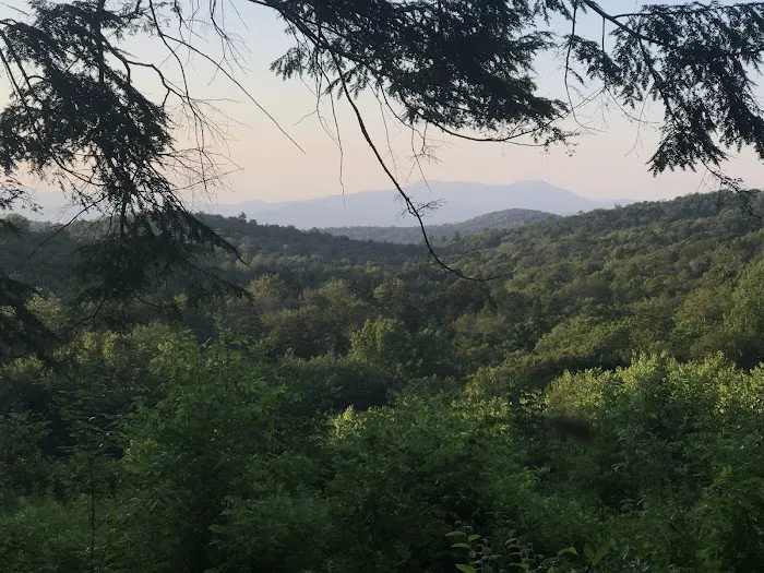Ponderosa Pine Campground 7