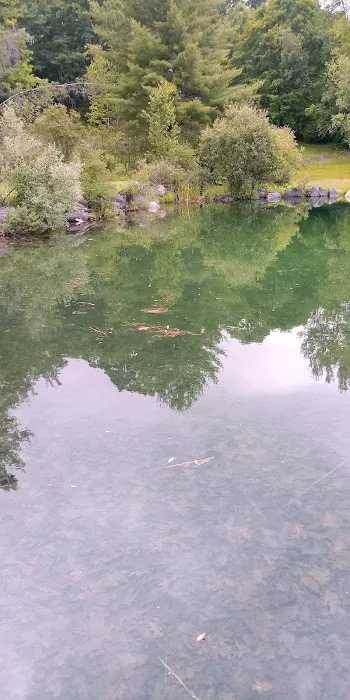 Ponderosa Pine Campground 8