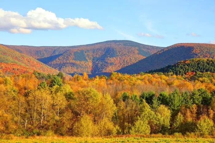 Mt. Greylock Campsite Park 2