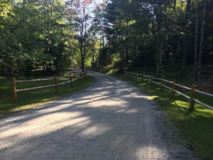 Mt. Greylock Campsite Park 8