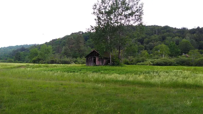 Mountain View Campground 1