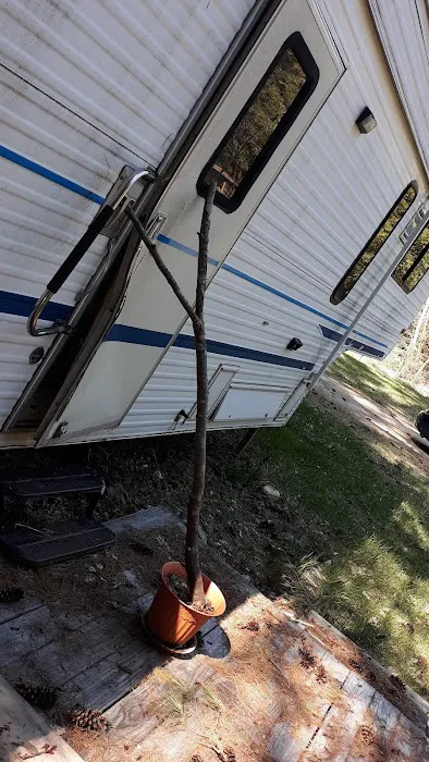 Mountain View Campground 0