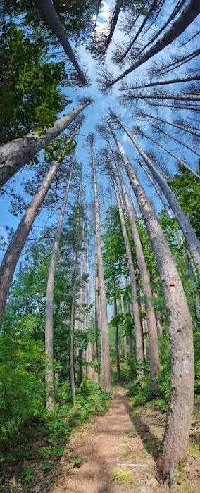 Otter River Campground 0