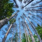 Otter River Campground