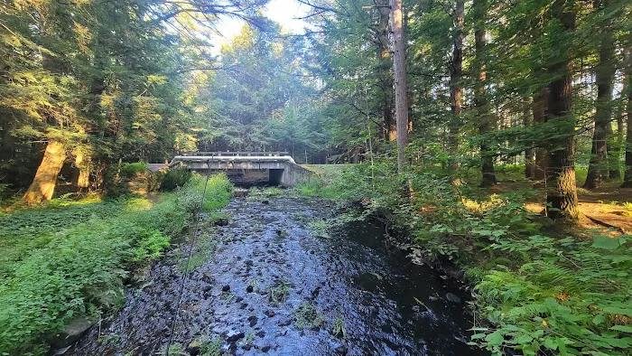 Otter River Campground 5