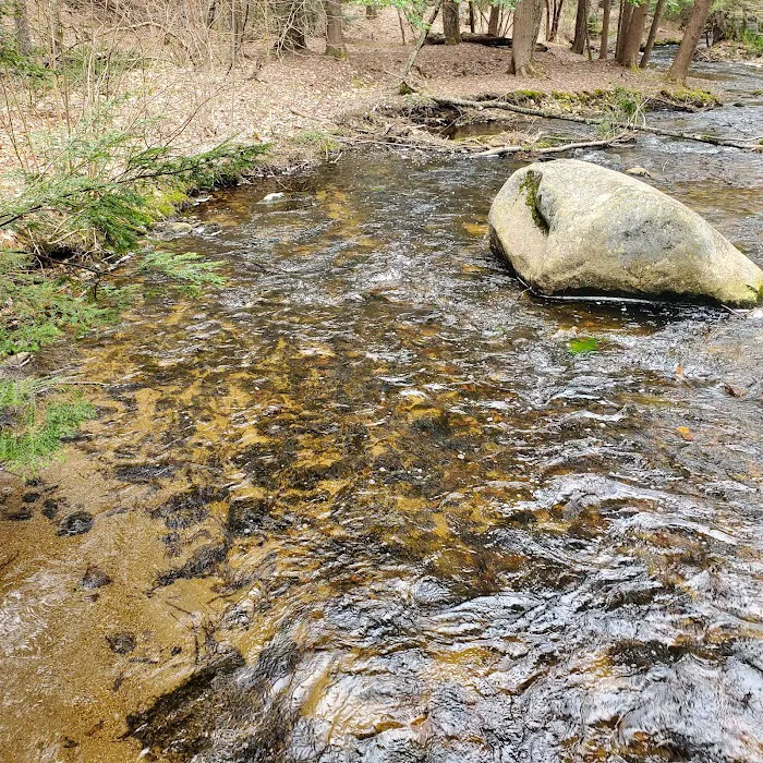 Otter River Campground 8