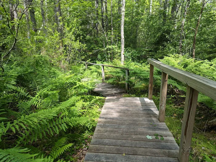 Otter River Campground 9