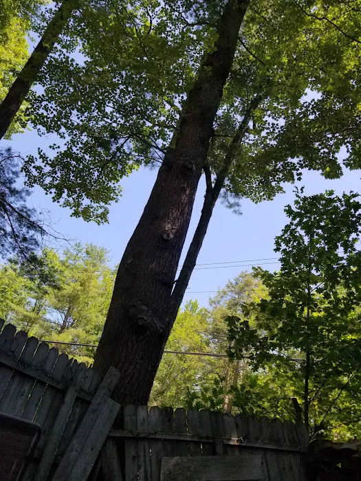 Laurel Lake Campgrounds 6