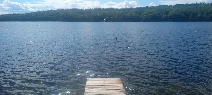 Laurel Lake Campgrounds 4