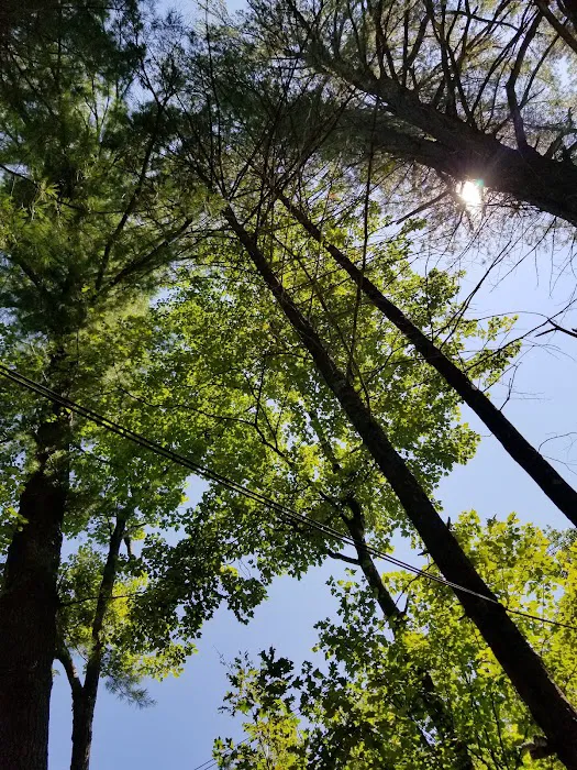 Laurel Lake Campgrounds 8