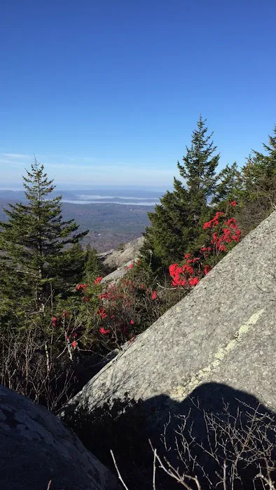 Hunter's State Line Campground-Variety 0