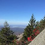 Hunter's State Line Campground-Variety