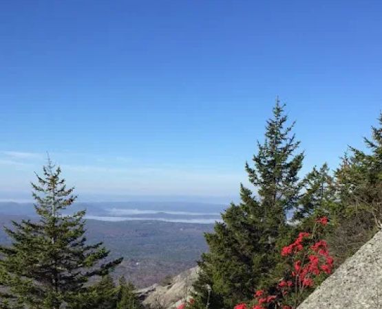 Hunter's State Line Campground-Variety