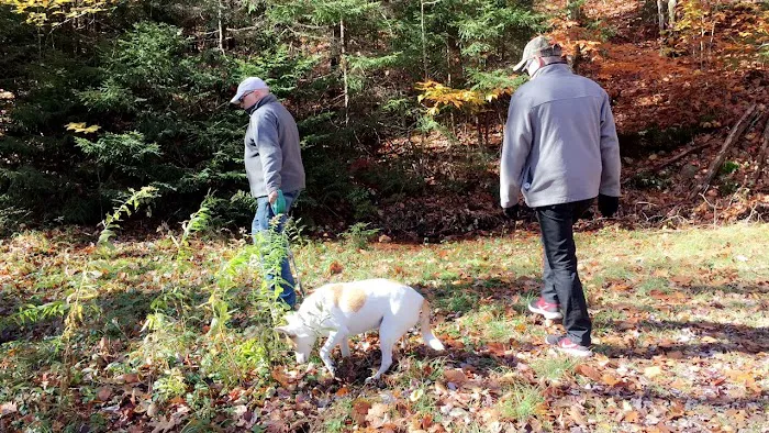 Hunter's State Line Campground-Variety 9