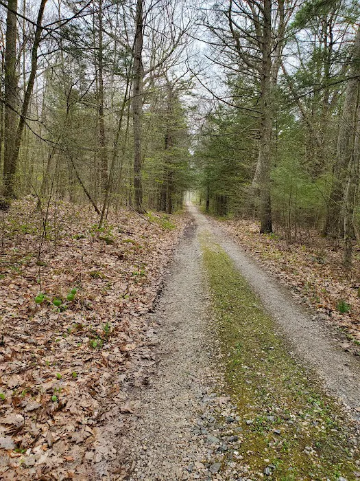 Big Spring Area 1