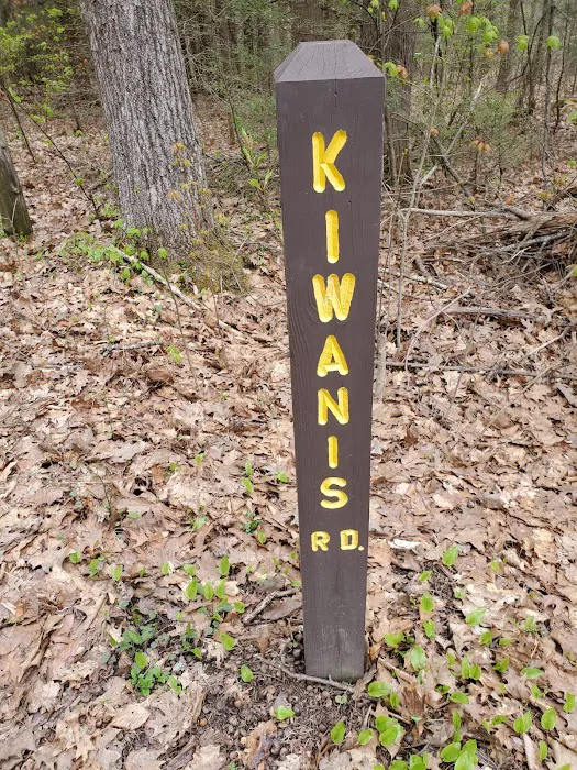 Big Spring Area 4